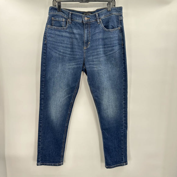 women Banana Republic Outlet Girlfriend Blue Jeans 31/12P